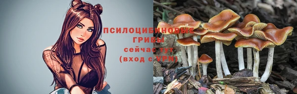 герыч Беломорск