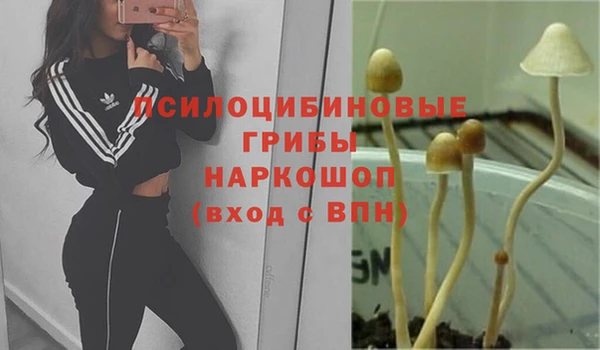 герыч Беломорск
