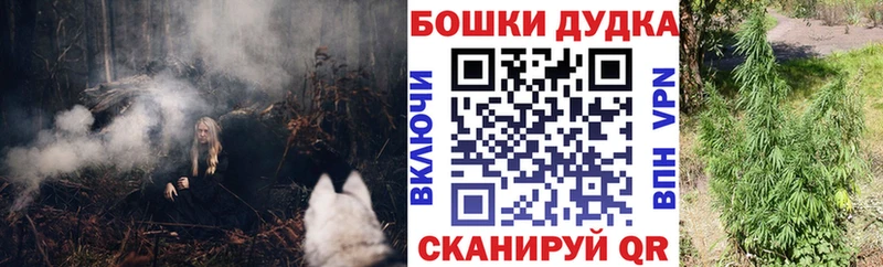 Купить закладки  Гулькевичи  Шишки марихуана планчик 